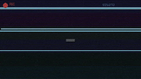 周末随拍记录 - 白洁 张敏 孙倩 原创视频